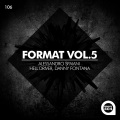 Format 5