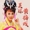 黄梅戏 - 黄梅戏《女驸马》选段：谁料皇榜中状元