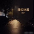 童远洋 - 爱上了一个爱而不得的人