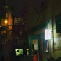 亚树 - 王招君