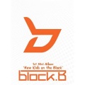Block B - 나만 이런거야?