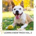 Sleeping Music For Dogs、Dog Music Therapy、Music for Dog's Ears - Pet Peaceful Dreams of Doing Tricks while Resting on a Couch