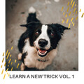Sleeping Music For Dogs、Dog Music Therapy、Music for Dog's Ears - Sleep Tight while Mistress is Gone and Dog Stays