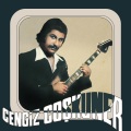 Johnny Guitar