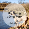 Nature Ambience、Baby Sleep Spot、The Water Sleepers - Windy River Dreaming