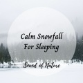 Binaural Systems、Rainded、Rain Sounds - Ice on the Wing