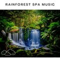 Relaxing Radiance - Rainforest Spa Music, Pt. 10