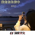 旺仔叶凡 - 游京