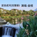 金枝 - 你像三月桃花开