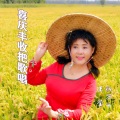 伊人家乡 - 喜庆丰收把歌唱 (独唱版)