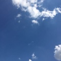紫竹悠悠 - 我就要把你追