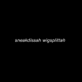 Vasto、Amy Lee - sneakdissah wigsplittah (Explicit)