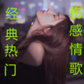 鑫鑫音乐酷站 - 九十九步退一步 (改变版)