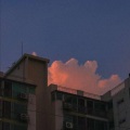 等风来 - 唯一