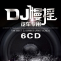牛哥 - DJ-2023颠沛流离的一生最新好听伤感串烧