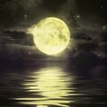 Trippy Soul - Luceafar