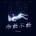 中国蓝府 - 那些你很冒险的梦 (DJ版)