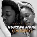 Brian Mill - Hurt No More