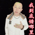 盘锦兵哥 - 我到底错哪里