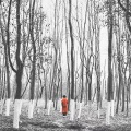 托利 - 相思无用