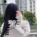 爱的故事上集 (DJ版)