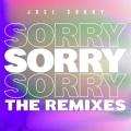 Sorry (Rave Republic Remix)