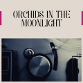 Les Baxter & His Orchestra - Noche