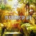 White Noise Therapy、White Noise Relaxation、White Noise Meditation - Just Be