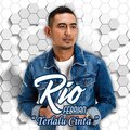rio febrian - Terlalu Cinta