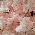 木修尘 - 坏女孩