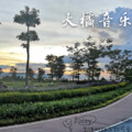 爱吃的大橘 - 窗
