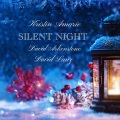 Silent Night (feat. David Lanz & David Arkenstone)
