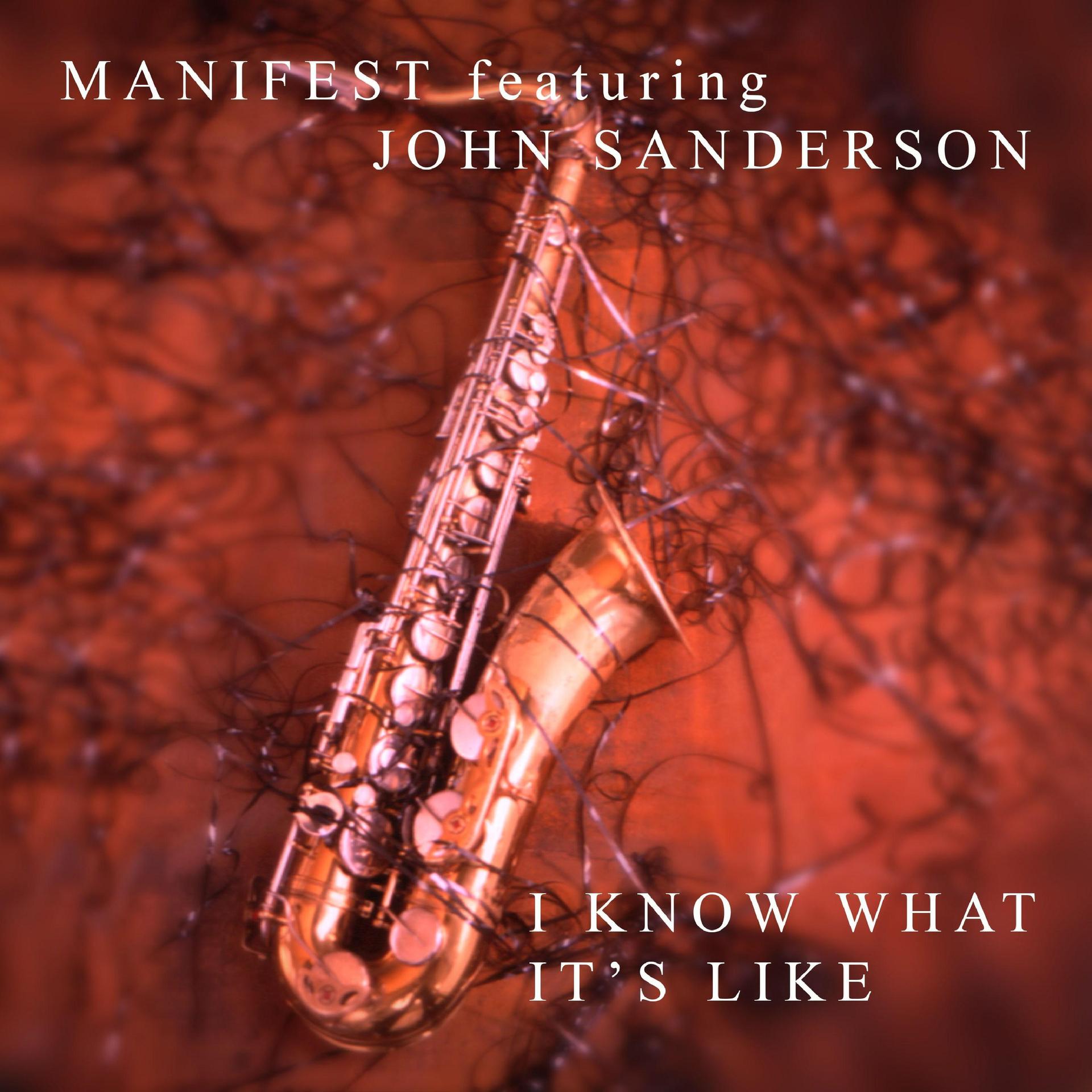 Manifest - I KNOW WHAT IT'S LIKE