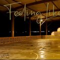 curtis - Feeling Like