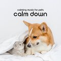Deep Sleep Moonlight Academy - Sleep Cats and Sleep