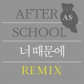 너 때문에 REMIX (因为你)