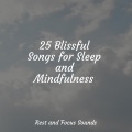 Ambient Forest、Massagem、Childrens Music - Dawn of Innocence