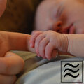 Relaxing Noise to Sleep、Baby Sleep Sounds、White Noise Baby Sleep - Noise to Fall Asleep at Night