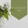 兀凌夏 - ドライフラワー