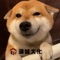 DJ 小鑫、DJ其哥、上官承 - 听花