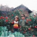 longer邹家龙 - 丁香花