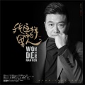 雷斌 - 我这样的男人