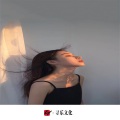 圈妹、虞姬、DJ小可、劫川 - 像中枪一样 (DJ版)