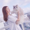 心兮、DJ、华语群星 - 世界那么大还遇见你