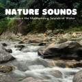 The Nature Project、Classical Music For Relaxation、Relaxing Music - Provocative Mixture