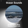 Ocean Sounds、Nature Sounds、Ocean Sounds by Melina Reat - Ocean Sounds for Relaxation and Sleep Pt. 2