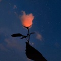 余余 - 豆花之歌