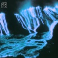 Nakani - Say Goodnight