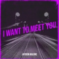 Jayvion Malone - I Want to Meet You
