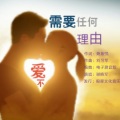 爱不需要任何理由〔dj版〕